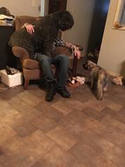 A group of people sitting around a living room with a dog
	Description automatically generated